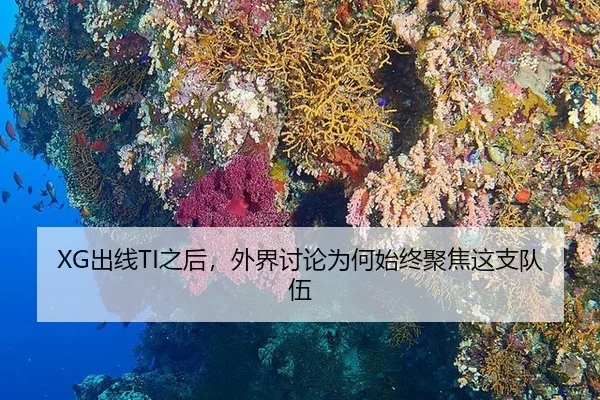 XG出线TI之后，外界讨论为何始终聚焦这支队伍